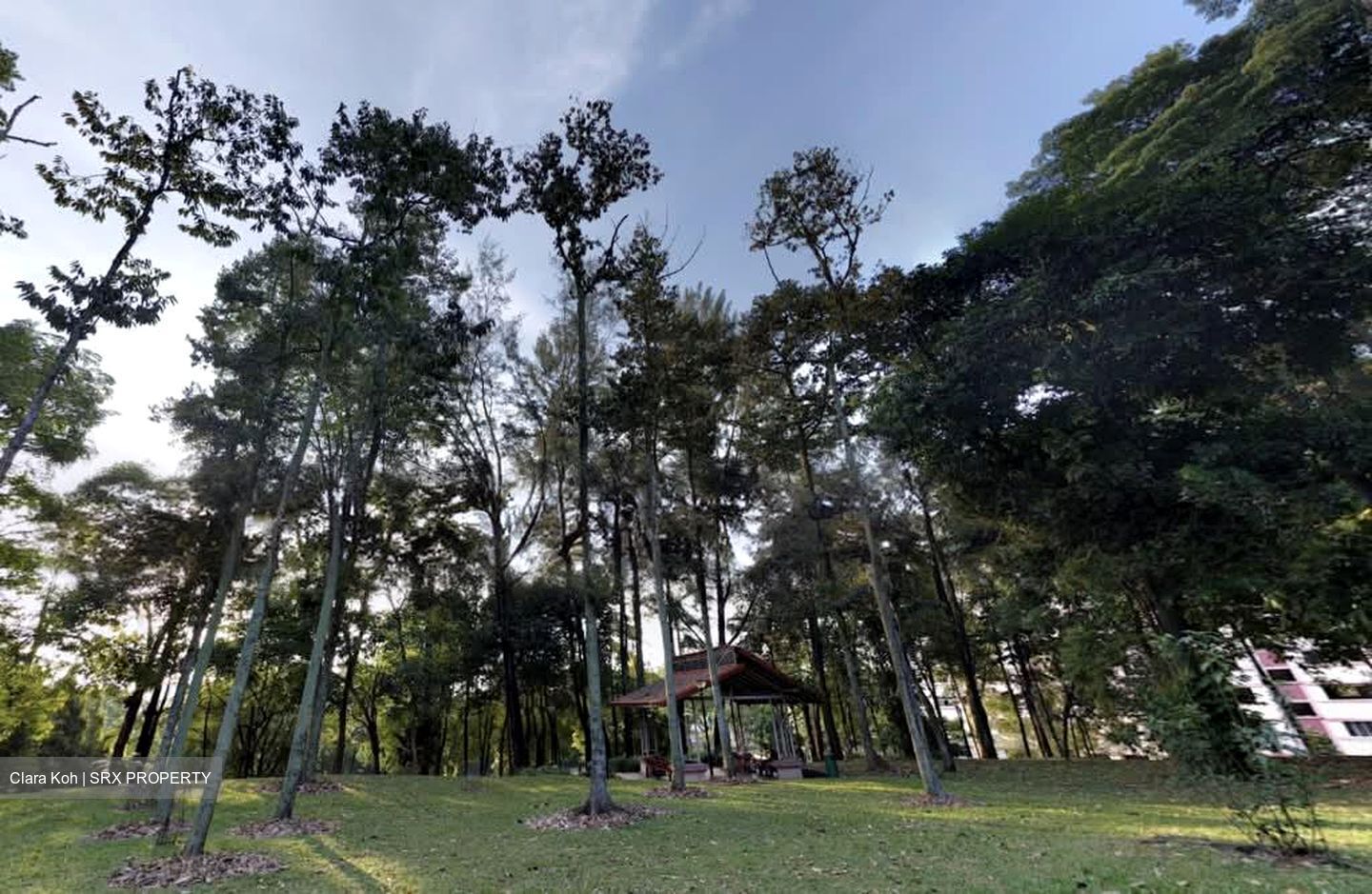 Blk 605 Choa Chu Kang Street 62 (Choa Chu Kang), HDB Executive #626766051